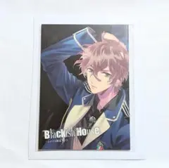 Blackish House sideA→ アニメイト特典小冊子