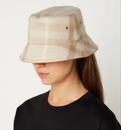 Item thumbnail for item 61749686-dd49-4eeb-b14f-cf47574f96c3