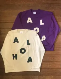 SALVAGE PUBLIC サルベージパブリッ ク　Ringer Sweat