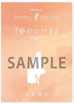 写真2現物写真有　 劇場編集版 Summer Pockets　小説　夢のつづき