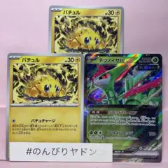 バチュル　バチュチャージ　2枚　テツノイサハex 1枚　pch802