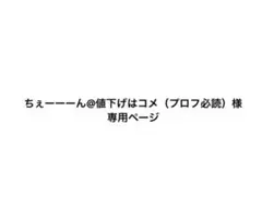 専用ページ