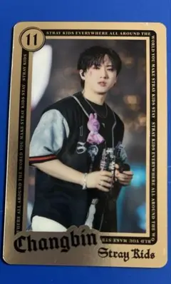 Stray Kids スキズ ランダムライブフォトカード　 チャンビン