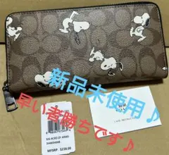 COACH スヌーピーコラボ