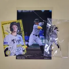 佐藤輝明 阪神タイガース ラッフルくじ キーホルダー&カード&ブロマイド 3点