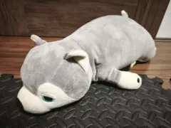 【美品】プレミアムねむねむアニマルズ 抱き枕 Mサイズ ハスキー犬 ミント