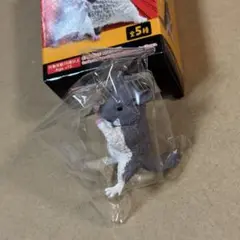 まけるもんか勇気をだせ　チンチラ