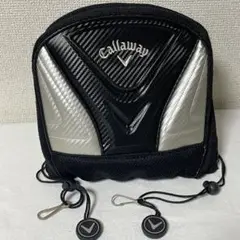 Item thumbnail for item 36f999de-2140-40e3-a120-c86eba94c7f6