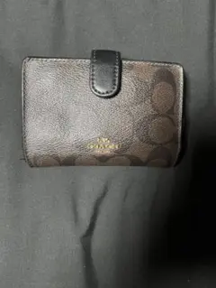 Item thumbnail for item 29b41726-f3de-4cb5-8913-94330c1316f0