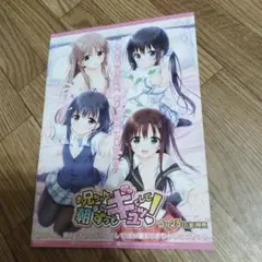 ☆正規品☆お兄ちゃん、朝までずっとギュッてして！オフィシャルパンフレット非売品