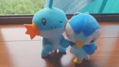 ミズゴロウ　ポッチャマ　セット　マスコット
