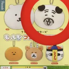 ナガノくま