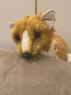 シェルティ ぬいぐるみ 三英 犬