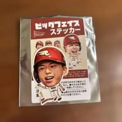 東北楽天イーグルス　ビックフェイスステッカー　1宗山