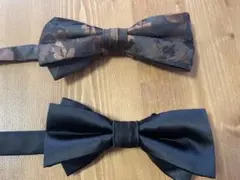 Item thumbnail for item 00b8c2ec-2edf-45ae-a2c2-c767842fdc33