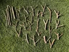 Item thumbnail for item 38dbcc18-8d85-4248-8eff-c29d22dd289f