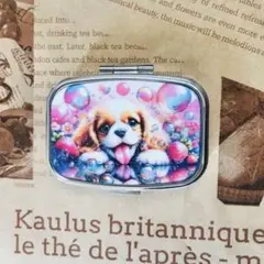 P755 ハンドメイド ピルケース 薬箱 小物入れ　キャバリア　苺　泡　可愛い
