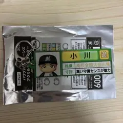 パワプロマリーンズ　小川　栄冠ナイン