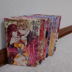 お嬢様はお仕置きが好き 8巻セット
