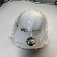 Item thumbnail for item ec0e0057-8d34-4d29-ad13-8c47aab2c865