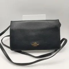 Item thumbnail for item 3845ca79-db76-4521-8c87-f60ad1adc169