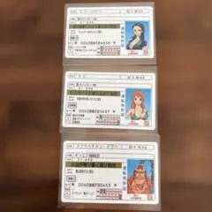 ワンピース　免許証　ナミ　ロビン　アプー
