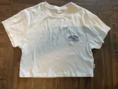 BILLABONG ミニTシャツ