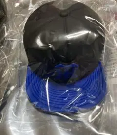 Item thumbnail for item e71d833e-beea-46ae-b2fd-e2077b0b16bf