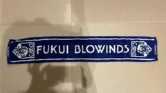 福井ブローウィンズ タオル