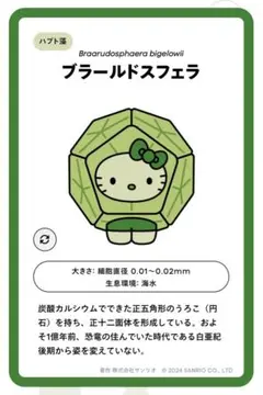 EXPO2025 日本館限定 サンリオ 藻キティ シークレットピンバッチ