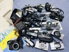 Item thumbnail for item c6c7b4f7-a69e-4bee-b6dc-700977f1106d