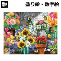 E802　大人の塗り絵　ペイントバイナンバー　数字塗り絵　油絵