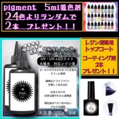 モールドに最適　サラサラ低粘度レジン液100g2本 フラッシュ