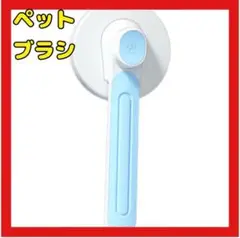 Item thumbnail for item d7058d6a-1852-4f7c-a975-9e5c67d0dc99
