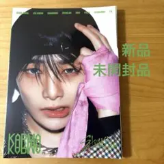 【アイエン】【新品未開封】KARMA ACCORDION VER.