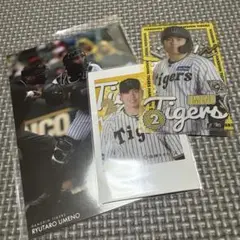 梅野隆太郎 阪神タイガース ラッフルくじ セット