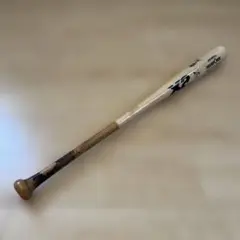 Item thumbnail for item c46bddf5-5b7f-4afd-836e-6d50eda877ba