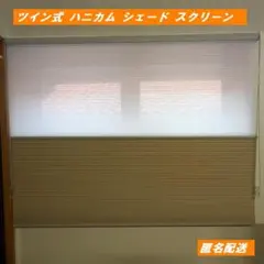 KeeGo ツイン式 ハニカム シェード スクリーン 採光 遮光 160×120
