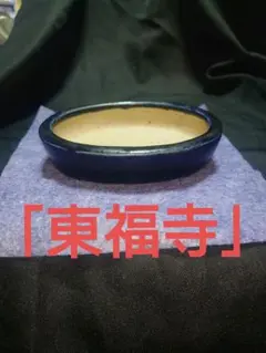 小品盆栽鉢「東福寺」