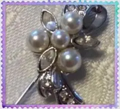 Item thumbnail for item a68f565a-fb2a-400f-9c8a-ab3edb94b38a
