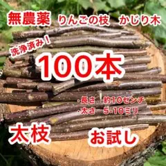 Item thumbnail for item 8234b9a4-7976-4fb8-92a3-3afb31c567d7