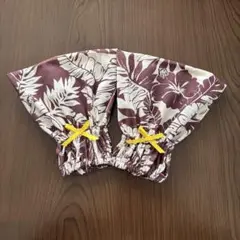 Item thumbnail for item c29c8485-5ed8-42af-935e-473272eae255