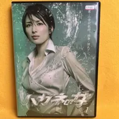 《新品ケース》ハガネの女 DVD 全巻 吉瀬美智子 / 要潤 / 有村架純