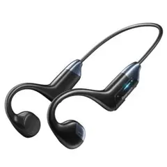Item thumbnail for item 6b38f4fd-d9f0-43a0-89d6-2ab503fa01c4