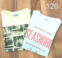 Tシャツセット 120