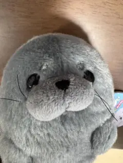 ぷきゅーとあざらし　ぬいぐるみ