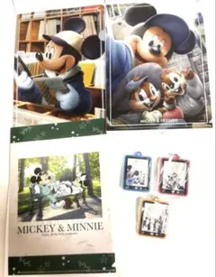 ディズニー ミキフレ アクリルチャーム  クリアファイル