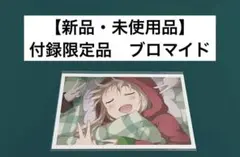 【激レア】　ゆるゆり　なもり　寝顔ブロマイド　付録限定品　百合姫　非売品　希少