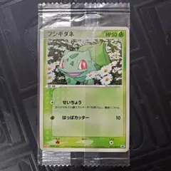 未開封 フシギダネ 明治 プロモ ポケモンカード