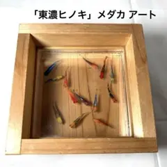 東濃ヒノキ メダカ 金魚 アート ヒノキ 桧 飾り 置物 アクリル